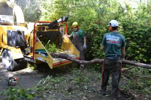 tree services Elkhart